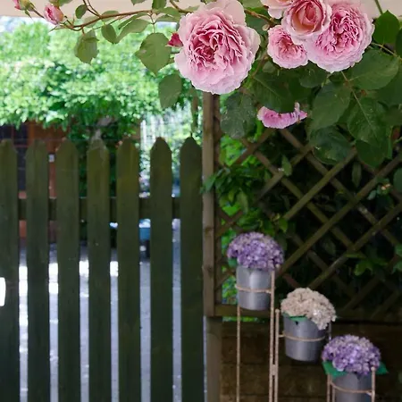 Due Passi Dal Mare Bed & Breakfast 3*