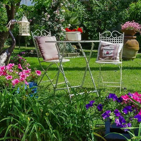 Due Passi Dal Mare Bed & Breakfast Cinquale