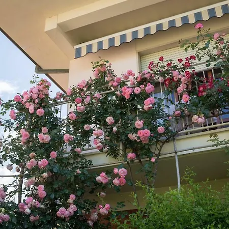 Due Passi Dal Mare 3* Cinquale
